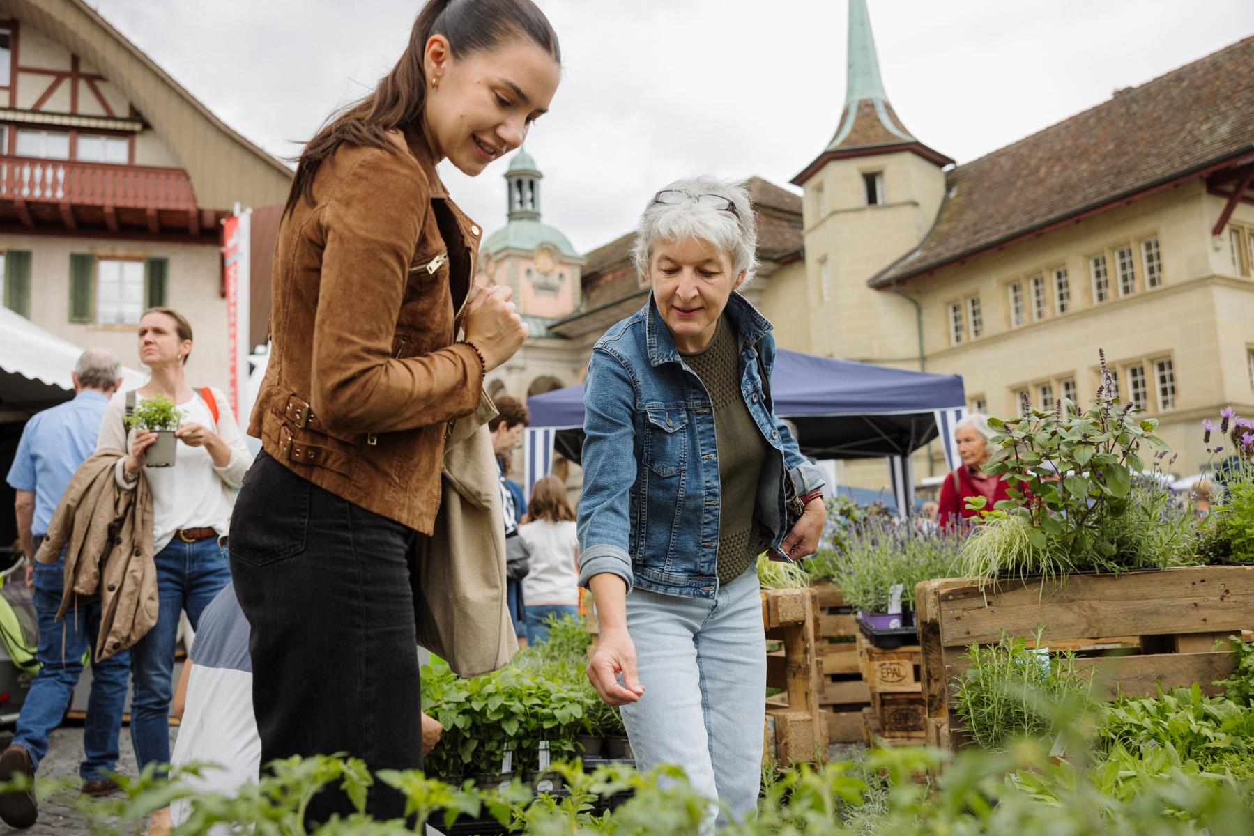 Der Bio Marché ist das grösste Schweizer Bio-Festival – mit riesigem Bio-Verkaufsmarkt, Bio-Festwirtschaften, Musik und Strassenkunst, Streichelzoo und vielem mehr. Jedes Jahr im Juni in Zofingen CH.