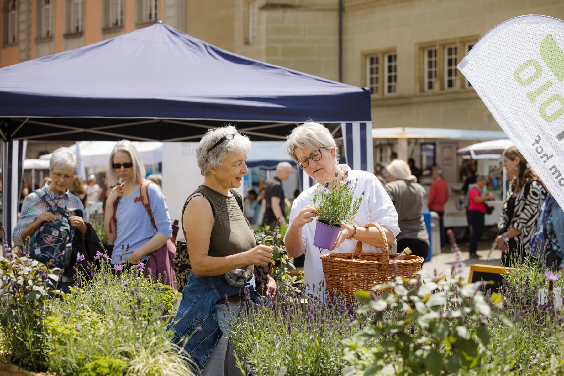 Der Bio Marché ist das grösste Schweizer Bio-Festival – mit riesigem Bio-Verkaufsmarkt, Bio-Festwirtschaften, Musik und Strassenkunst, Streichelzoo und vielem mehr. Jedes Jahr im Juni in Zofingen CH.